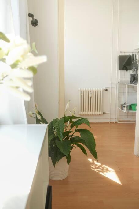 Stadtoase Wohnung Nahe Hauptbahnhof Koblenz  Ngoại thất bức ảnh